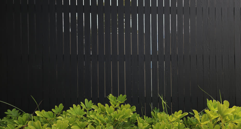 Black wooden fence with shrubs at base